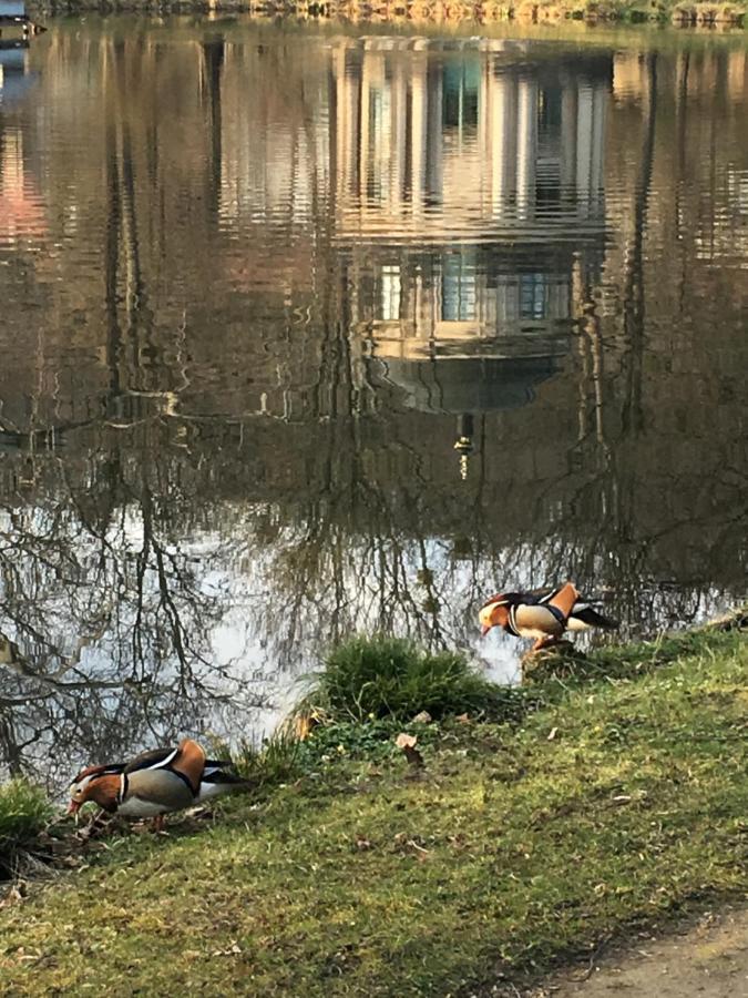 Ferienwohnung Emma Drezda Kültér fotó